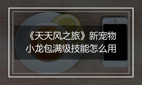 《天天风之旅》新宠物小龙包满级技能怎么用