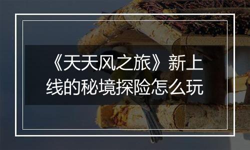 《天天风之旅》新上线的秘境探险怎么玩