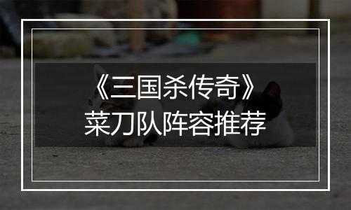 《三国杀传奇》菜刀队阵容推荐