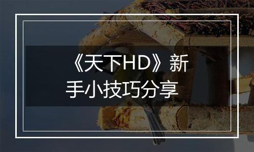 《天下HD》新手小技巧分享