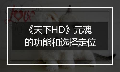 《天下HD》元魂的功能和选择定位