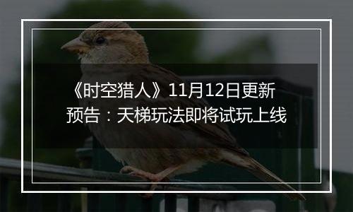 《时空猎人》11月12日更新预告：天梯玩法即将试玩上线