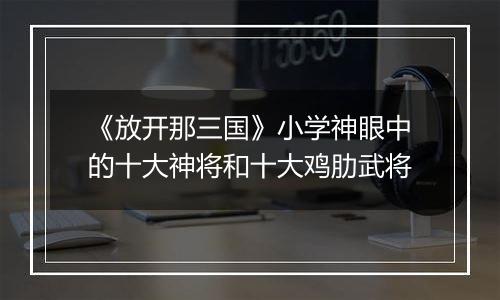 《放开那三国》小学神眼中的十大神将和十大鸡肋武将