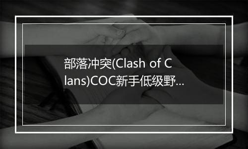 部落冲突(Clash of Clans)COC新手低级野猪流使用须知