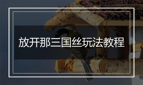 放开那三国丝玩法教程