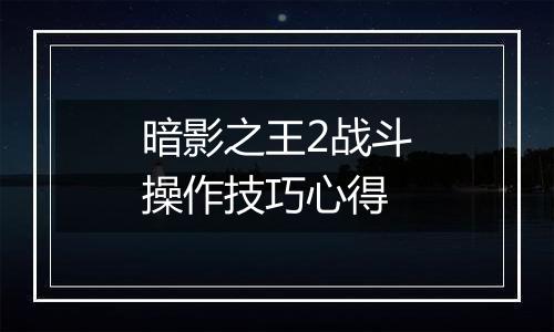 暗影之王2战斗操作技巧心得