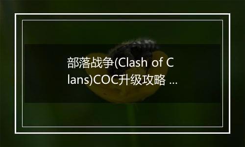 部落战争(Clash of Clans)COC升级攻略 部落战争如何快速升级