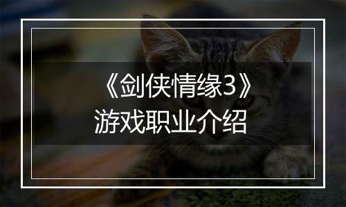 《剑侠情缘3》游戏职业介绍