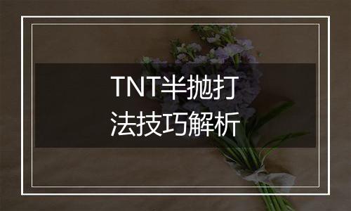 TNT半抛打法技巧解析