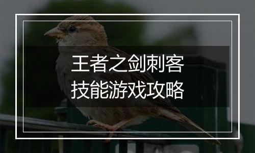 王者之剑刺客技能游戏攻略