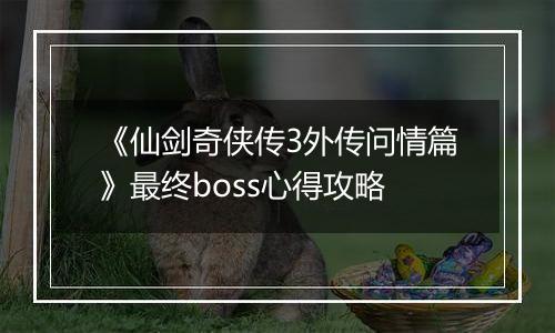《仙剑奇侠传3外传问情篇》最终boss心得攻略