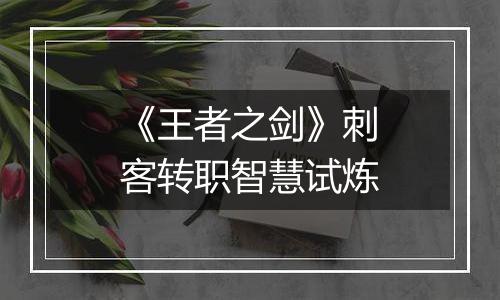 《王者之剑》刺客转职智慧试炼