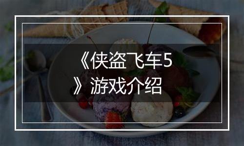 《侠盗飞车5》游戏介绍