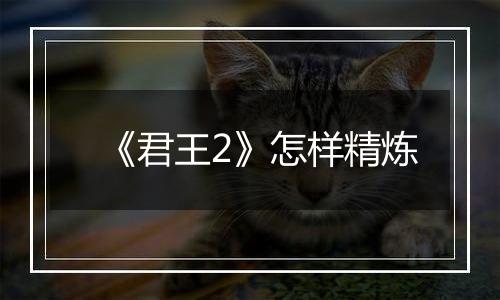 《君王2》怎样精炼