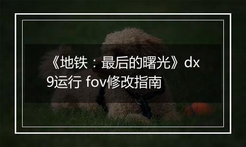 《地铁：最后的曙光》dx9运行 fov修改指南