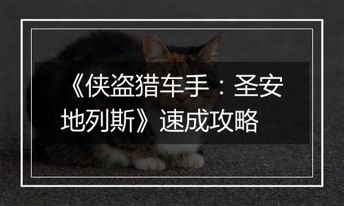 《侠盗猎车手：圣安地列斯》速成攻略