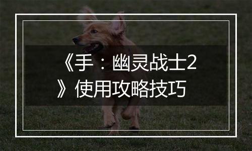 《手：幽灵战士2》使用攻略技巧