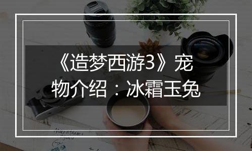 《造梦西游3》宠物介绍：冰霜玉兔
