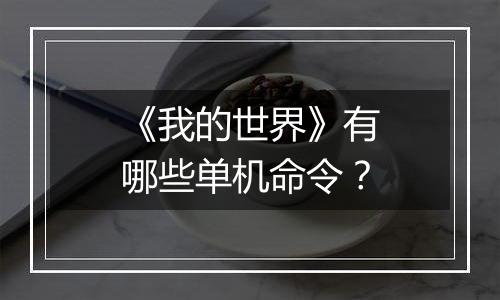 《我的世界》有哪些单机命令？