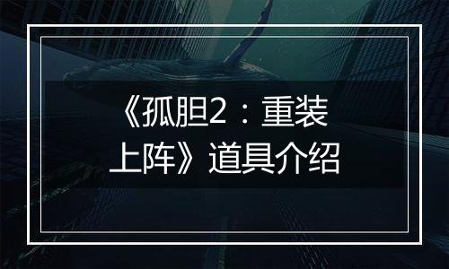 《孤胆2：重装上阵》道具介绍