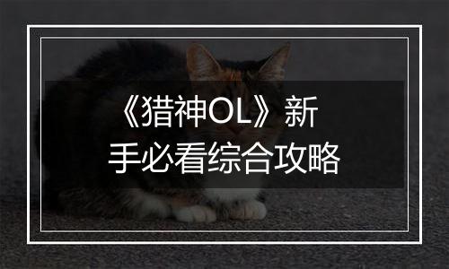 《猎神OL》新手必看综合攻略