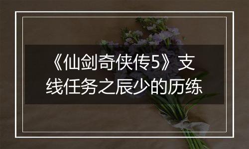 《仙剑奇侠传5》支线任务之辰少的历练