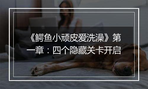 《鳄鱼小顽皮爱洗澡》第一章：四个隐藏关卡开启