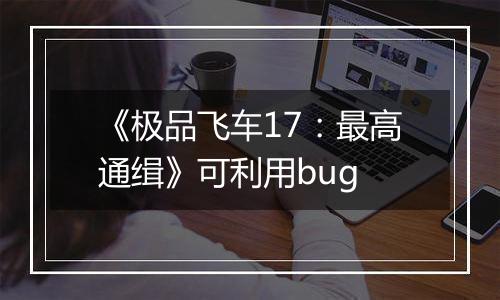 《极品飞车17：最高通缉》可利用bug