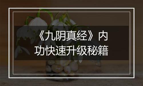 《九阴真经》内功快速升级秘籍