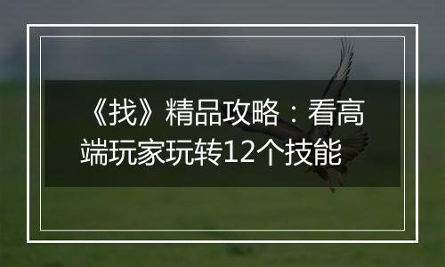 《找》精品攻略：看高端玩家玩转12个技能