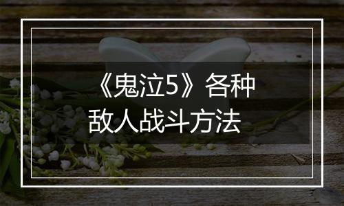 《鬼泣5》各种敌人战斗方法