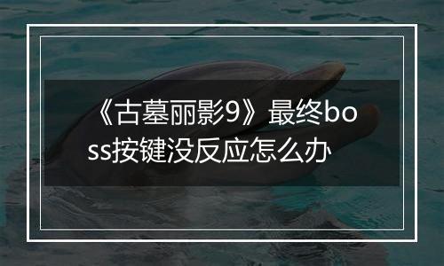《古墓丽影9》最终boss按键没反应怎么办