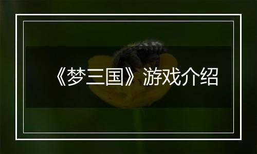 《梦三国》游戏介绍