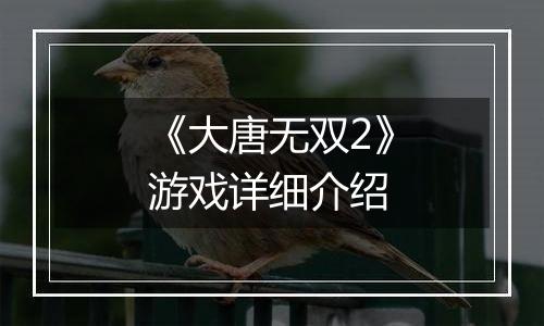 《大唐无双2》游戏详细介绍