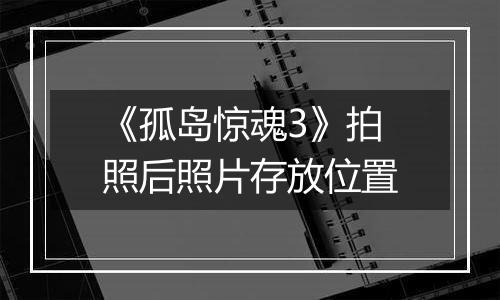 《孤岛惊魂3》拍照后照片存放位置