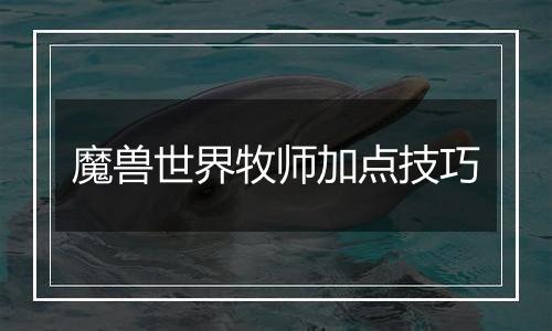魔兽世界牧师加点技巧