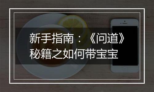 新手指南：《问道》秘籍之如何带宝宝