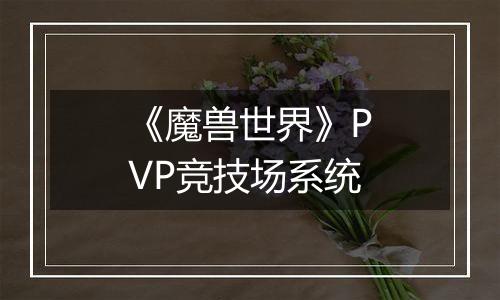 《魔兽世界》PVP竞技场系统