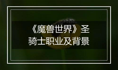 《魔兽世界》圣骑士职业及背景