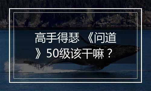 高手得瑟 《问道》50级该干嘛？