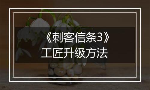 《刺客信条3》工匠升级方法