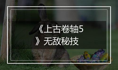 《上古卷轴5》无敌秘技