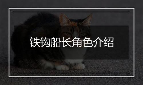 铁钩船长角色介绍