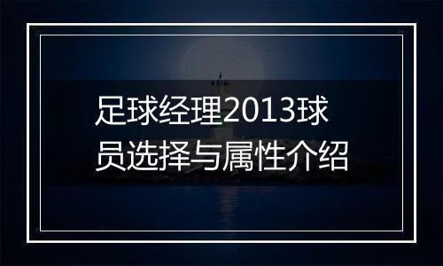 足球经理2013球员选择与属性介绍