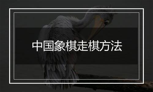 中国象棋走棋方法