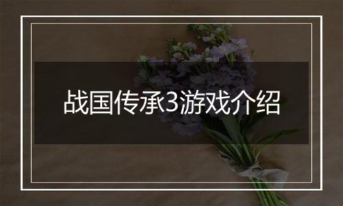 战国传承3游戏介绍