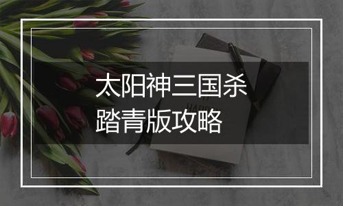 太阳神三国杀踏青版攻略