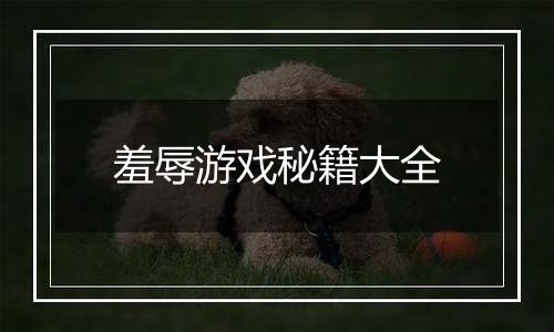 羞辱游戏秘籍大全