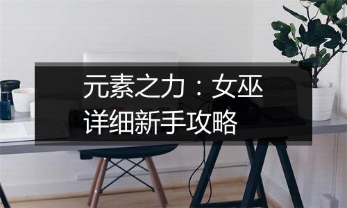 元素之力：女巫详细新手攻略