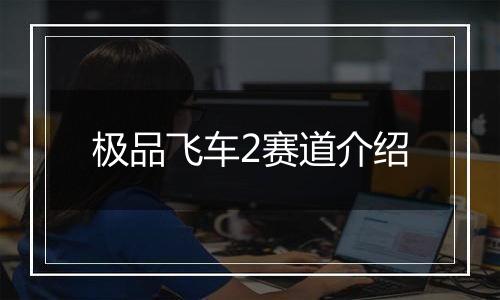 极品飞车2赛道介绍